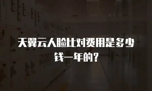 天翼云人脸比对费用是多少钱一年的？
