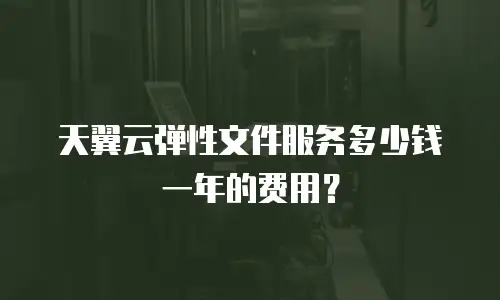 天翼云弹性文件服务多少钱一年的费用？