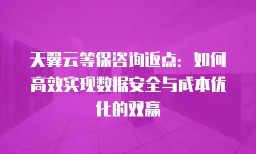 天翼云等保咨询返点：如何高效实现数据安全与成本优化的双赢