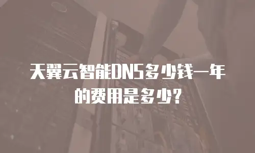 天翼云智能DNS多少钱一年的费用是多少？