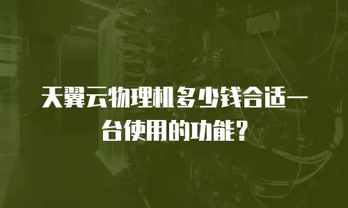 天翼云物理机多少钱合适一台使用的功能？
