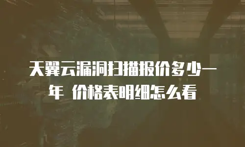 天翼云漏洞扫描报价多少一年 价格表明细怎么看