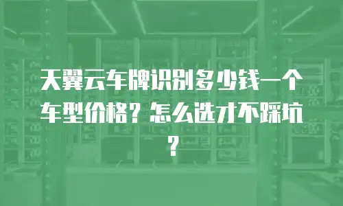 天翼云车牌识别多少钱一个车型价格？怎么选才不踩坑？