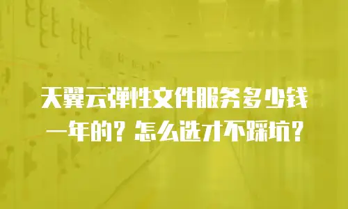 天翼云弹性文件服务多少钱一年的？怎么选才不踩坑？
