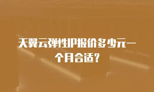 天翼云弹性IP报价多少元一个月合适？