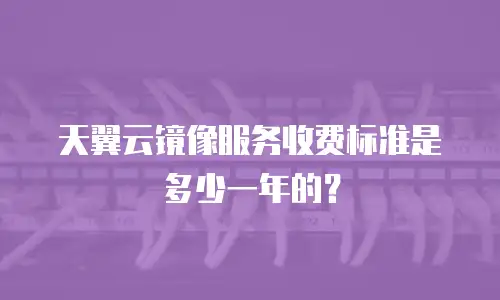 天翼云镜像服务收费标准是多少一年的？