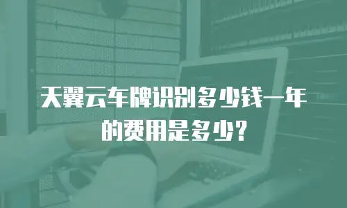 天翼云车牌识别多少钱一年的费用是多少？