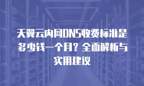 天翼云内网DNS收费标准是多少钱一个月？全面解析与实用建议