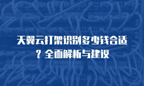 天翼云打架识别多少钱合适？全面解析与建议