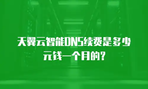 天翼云智能DNS续费是多少元钱一个月的？