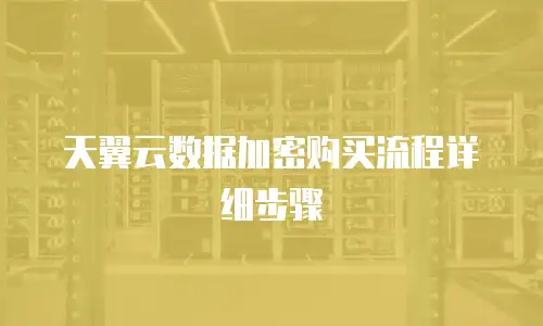 天翼云数据加密购买流程详细步骤