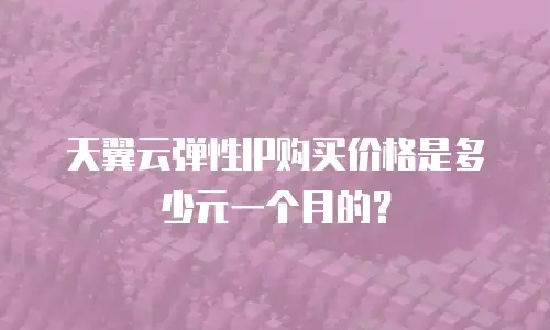天翼云弹性IP购买价格是多少元一个月的？