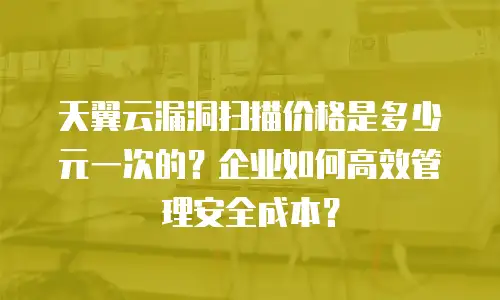 天翼云漏洞扫描价格是多少元一次的？企业如何高效管理安全成本？