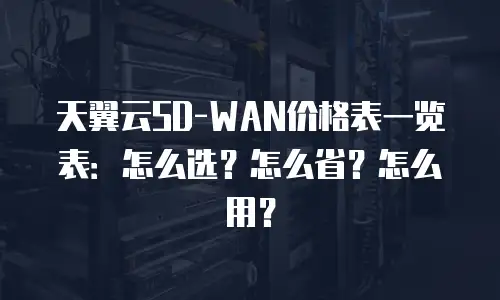 天翼云SD-WAN价格表一览表：怎么选？怎么省？怎么用？