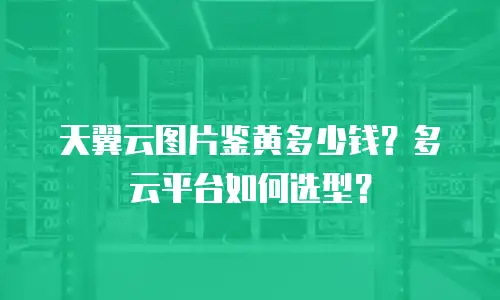 天翼云图片鉴黄多少钱？多云平台如何选型？