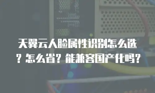 天翼云人脸属性识别怎么选？怎么省？能兼容国产化吗？
