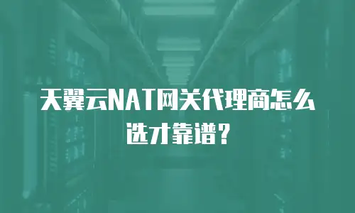 天翼云NAT网关代理商怎么选才靠谱？