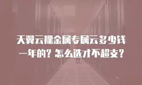 天翼云裸金属专属云多少钱一年的？怎么选才不超支？