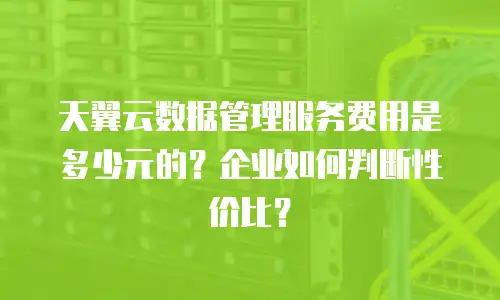 天翼云数据管理服务费用是多少元的？企业如何判断性价比？