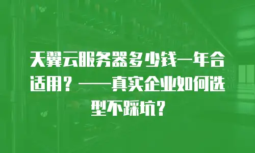 天翼云服务器多少钱一年合适用？&mdash;&mdash;真实企业如何选型不踩坑？