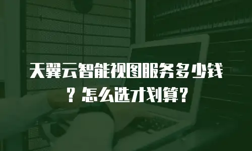 天翼云智能视图服务多少钱？怎么选才划算？