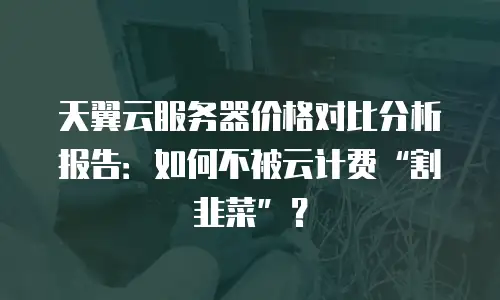 天翼云服务器价格对比分析报告：如何不被云计费“割韭菜”？