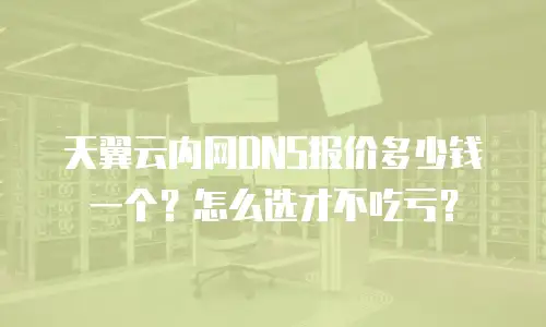 天翼云内网DNS报价多少钱一个？怎么选才不吃亏？