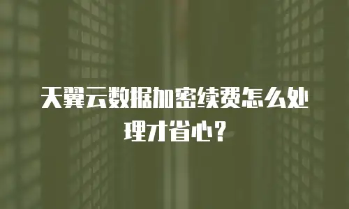 天翼云数据加密续费怎么处理才省心？