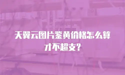天翼云图片鉴黄价格怎么算才不超支？