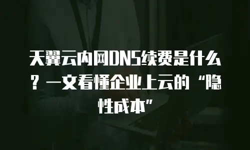 天翼云内网DNS续费是什么？一文看懂企业上云的“隐性成本”