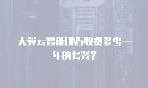 天翼云智能DNS收费多少一年的套餐？