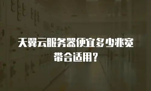 天翼云服务器便宜多少兆宽带合适用？