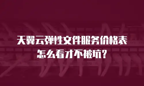 天翼云弹性文件服务价格表怎么看才不被坑？
