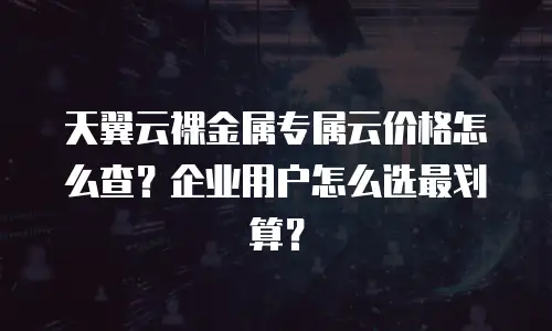 天翼云裸金属专属云价格怎么查？企业用户怎么选最划算？