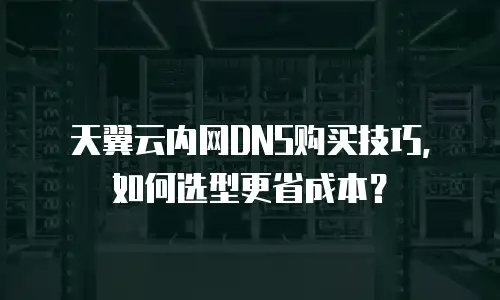 天翼云内网DNS购买技巧，如何选型更省成本？