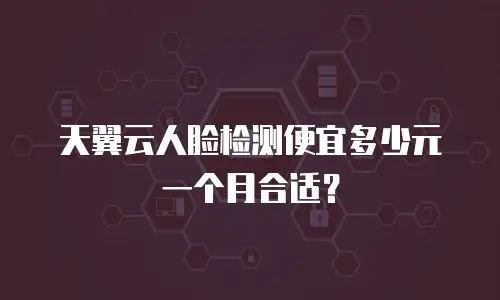 天翼云人脸检测便宜多少元一个月合适？