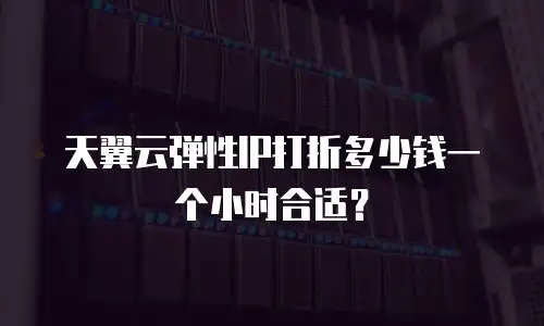 天翼云弹性IP打折多少钱一个小时合适？