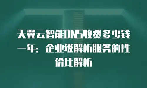 天翼云智能DNS收费多少钱一年：企业级解析服务的性价比解析