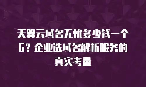 天翼云域名无忧多少钱一个G？企业选域名解析服务的真实考量