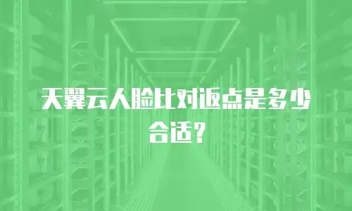天翼云人脸比对返点是多少合适？