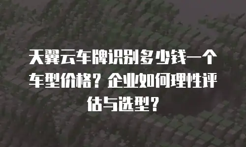 天翼云车牌识别多少钱一个车型价格？企业如何理性评估与选型？