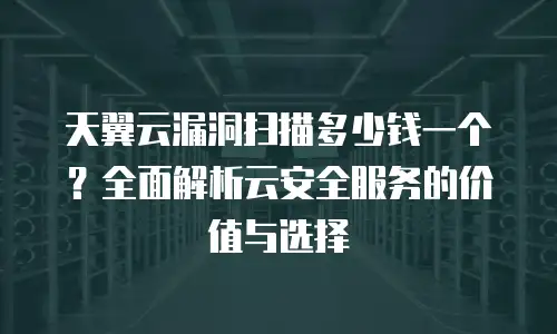 天翼云漏洞扫描多少钱一个？全面解析云安全服务的价值与选择