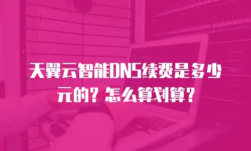 天翼云智能DNS续费是多少元的？怎么算划算？
