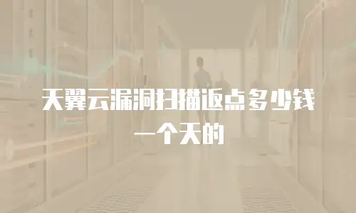 天翼云漏洞扫描返点多少钱一个天的