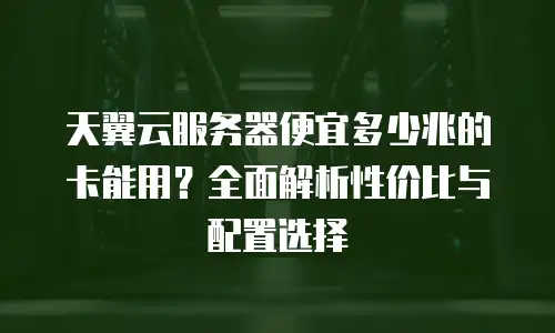 天翼云服务器便宜多少兆的卡能用？全面解析性价比与配置选择