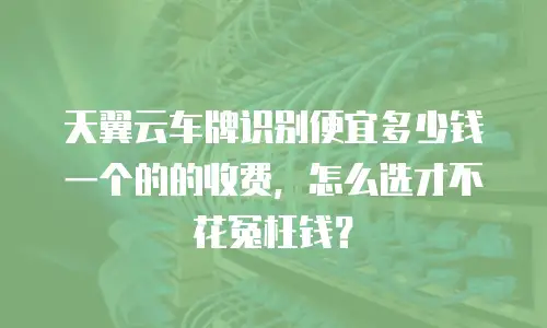 天翼云车牌识别便宜多少钱一个的的收费，怎么选才不花冤枉钱？