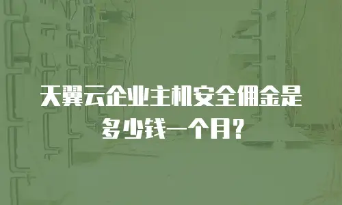 天翼云企业主机安全佣金是多少钱一个月？