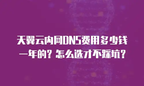 天翼云内网DNS费用多少钱一年的？怎么选才不踩坑？
