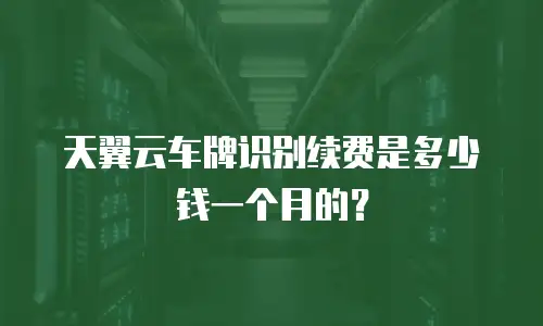 天翼云车牌识别续费是多少钱一个月的？