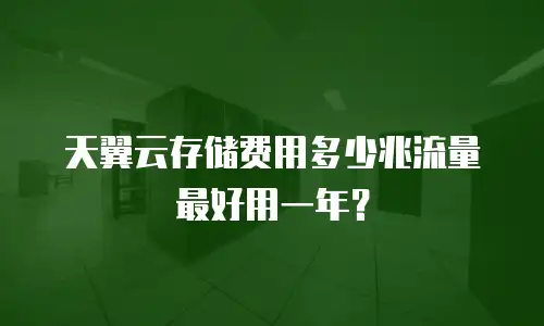 天翼云存储费用多少兆流量最好用一年？